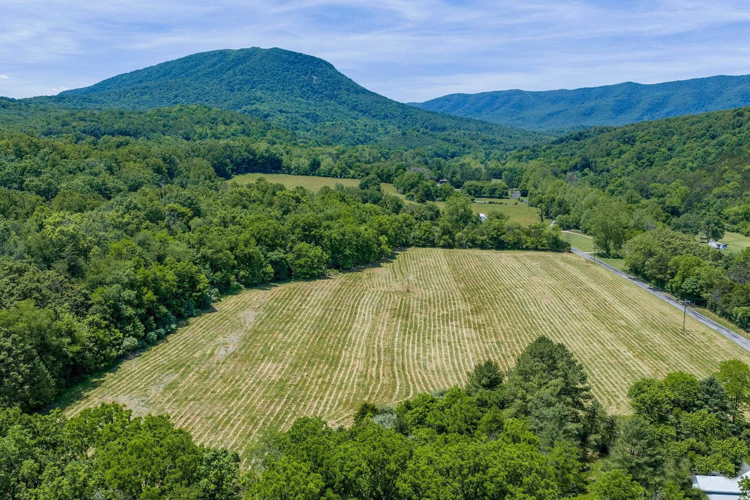 Tbd Blacks Creek Road Lexington, VA 24450 - Photo 2 of 6 Mountain views.