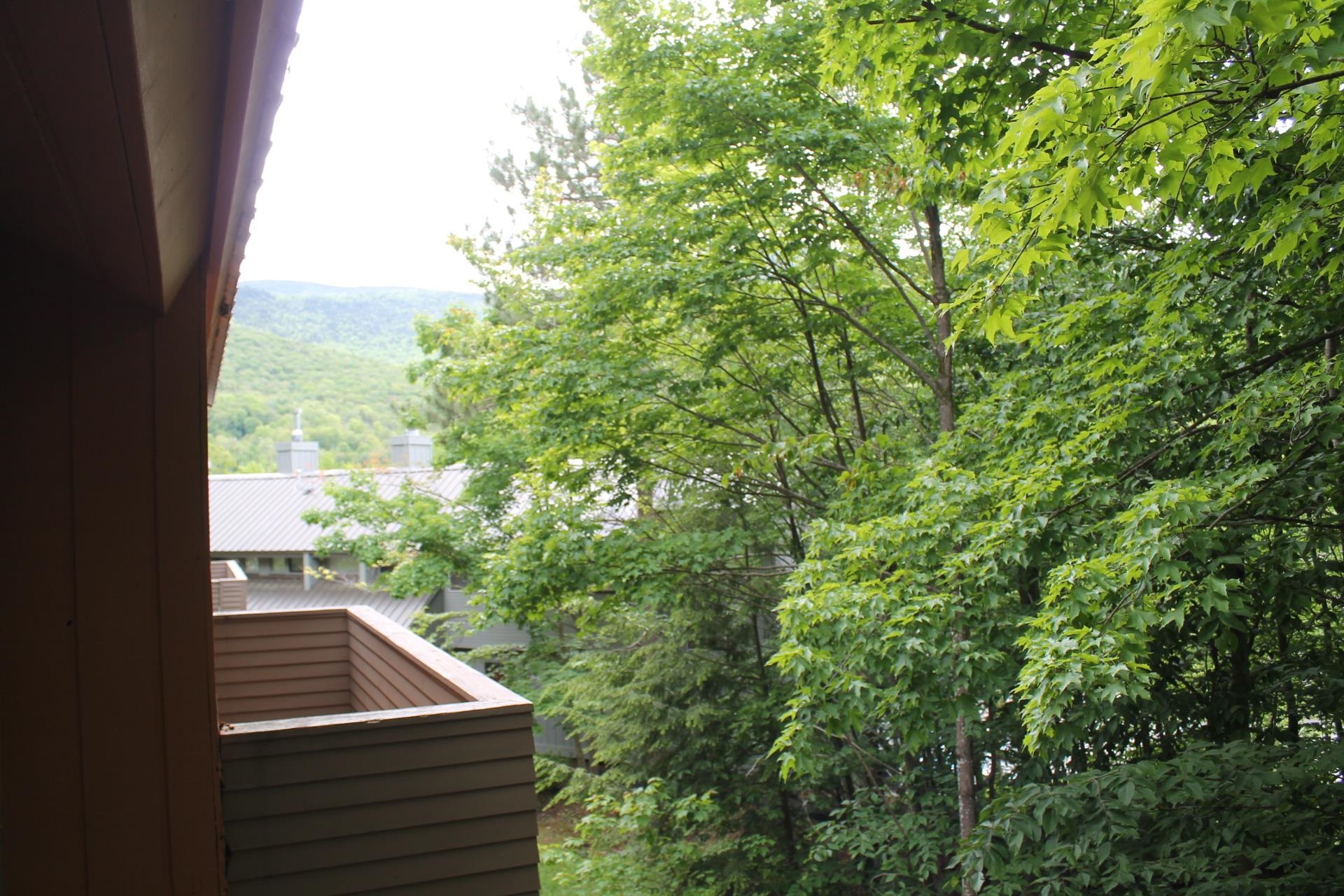 25 Potash Road, Unit 1 Lincoln, NH 03251 - Photo 16 of 33