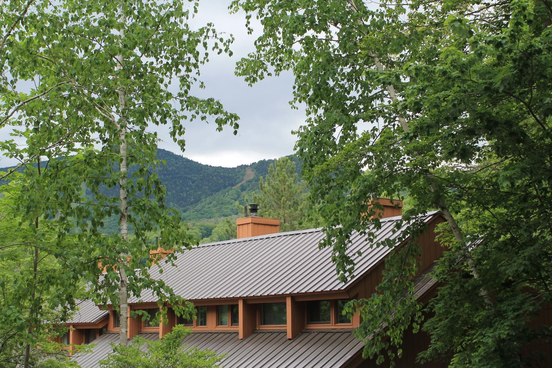 25 Potash Road, Unit 1 Lincoln, NH 03251 - Photo 2 of 33