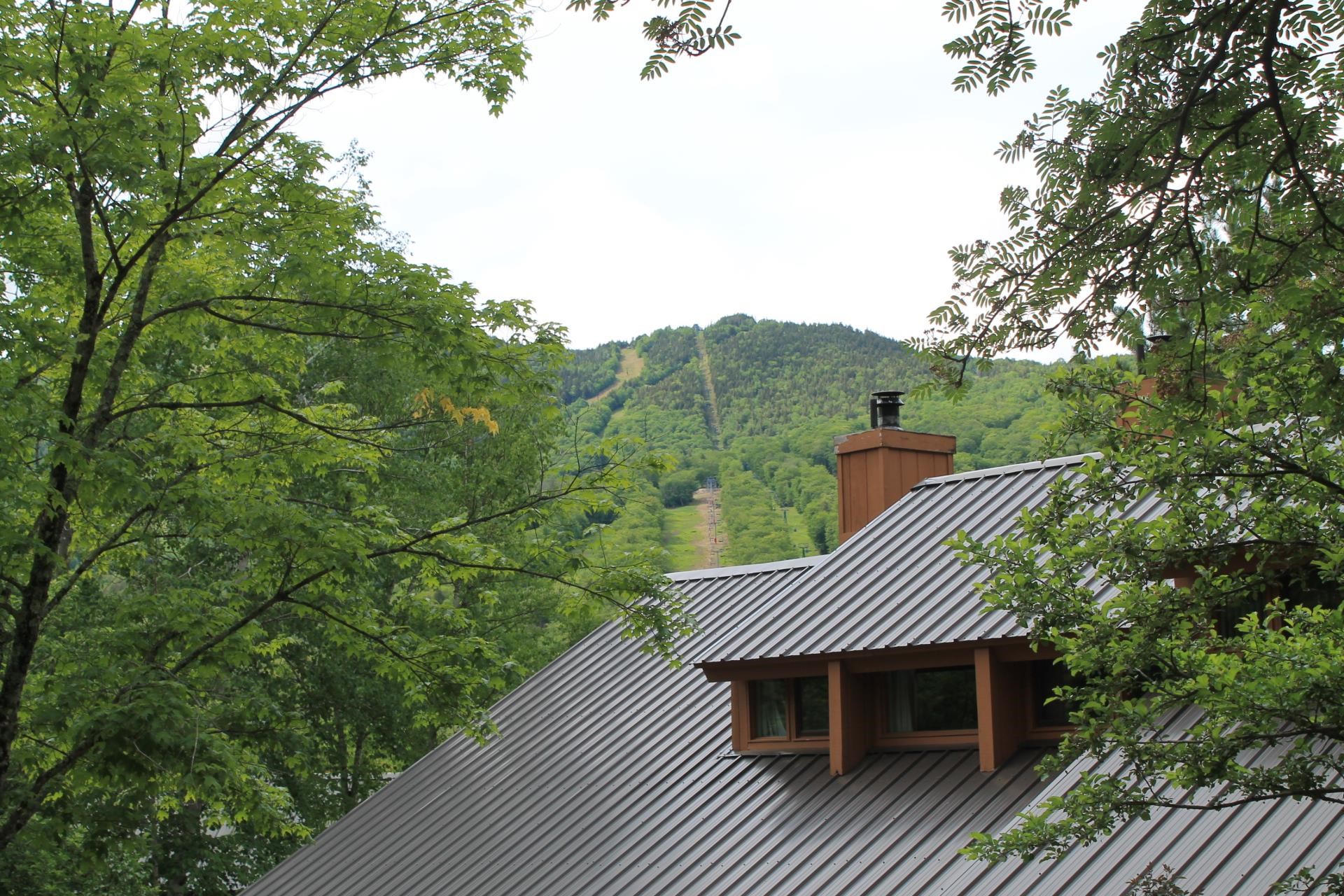 25 Potash Road, Unit 1 Lincoln, NH 03251 - Photo 6 of 33