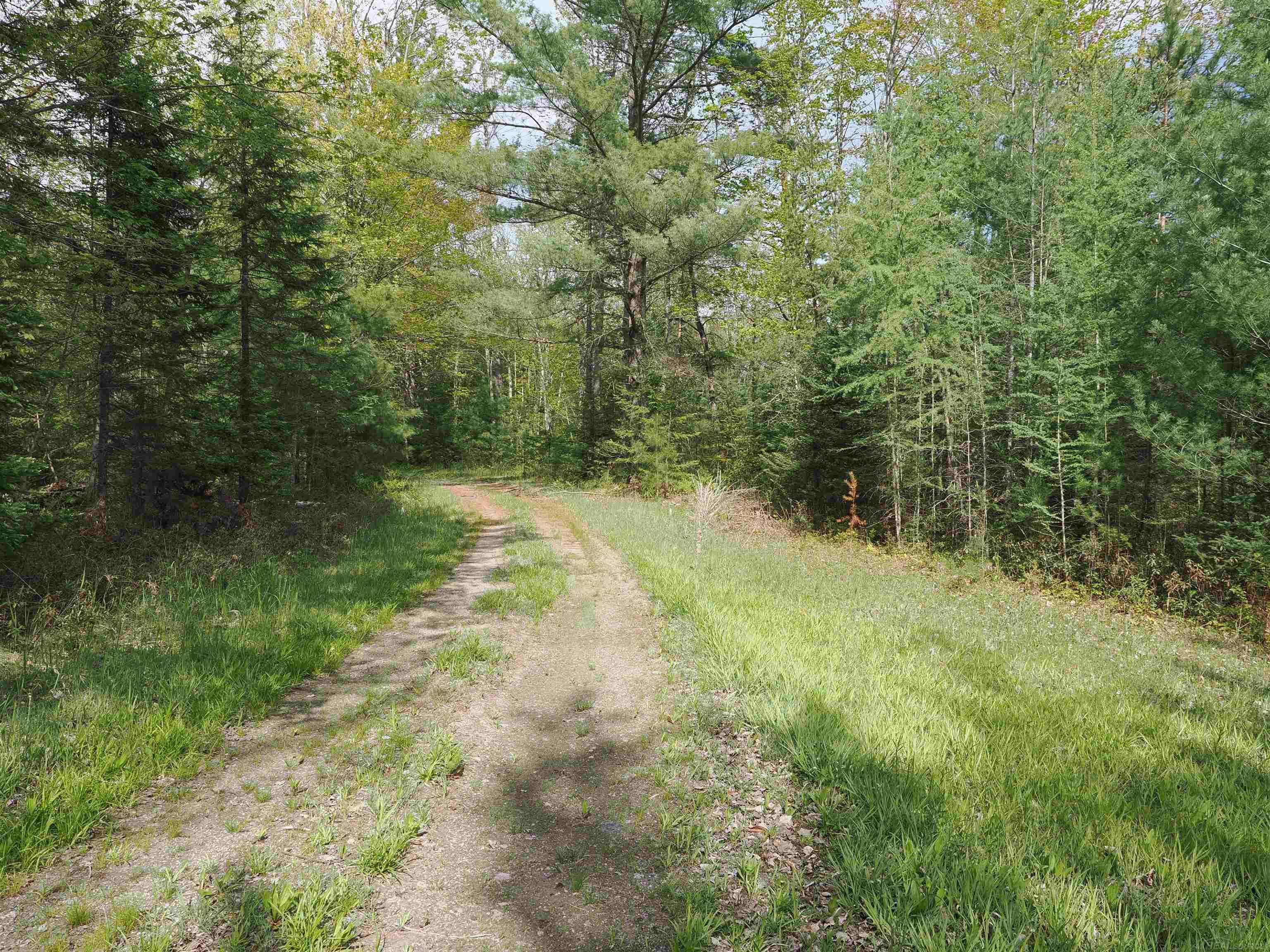 4011 Sandall Road Alpena, MI 49707 - Photo 34 of 73