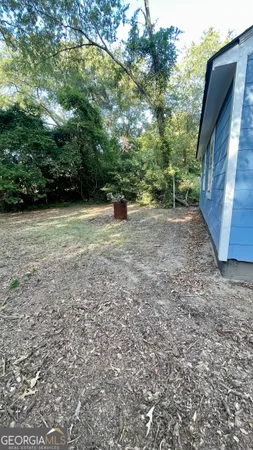 a view of backyard with green space