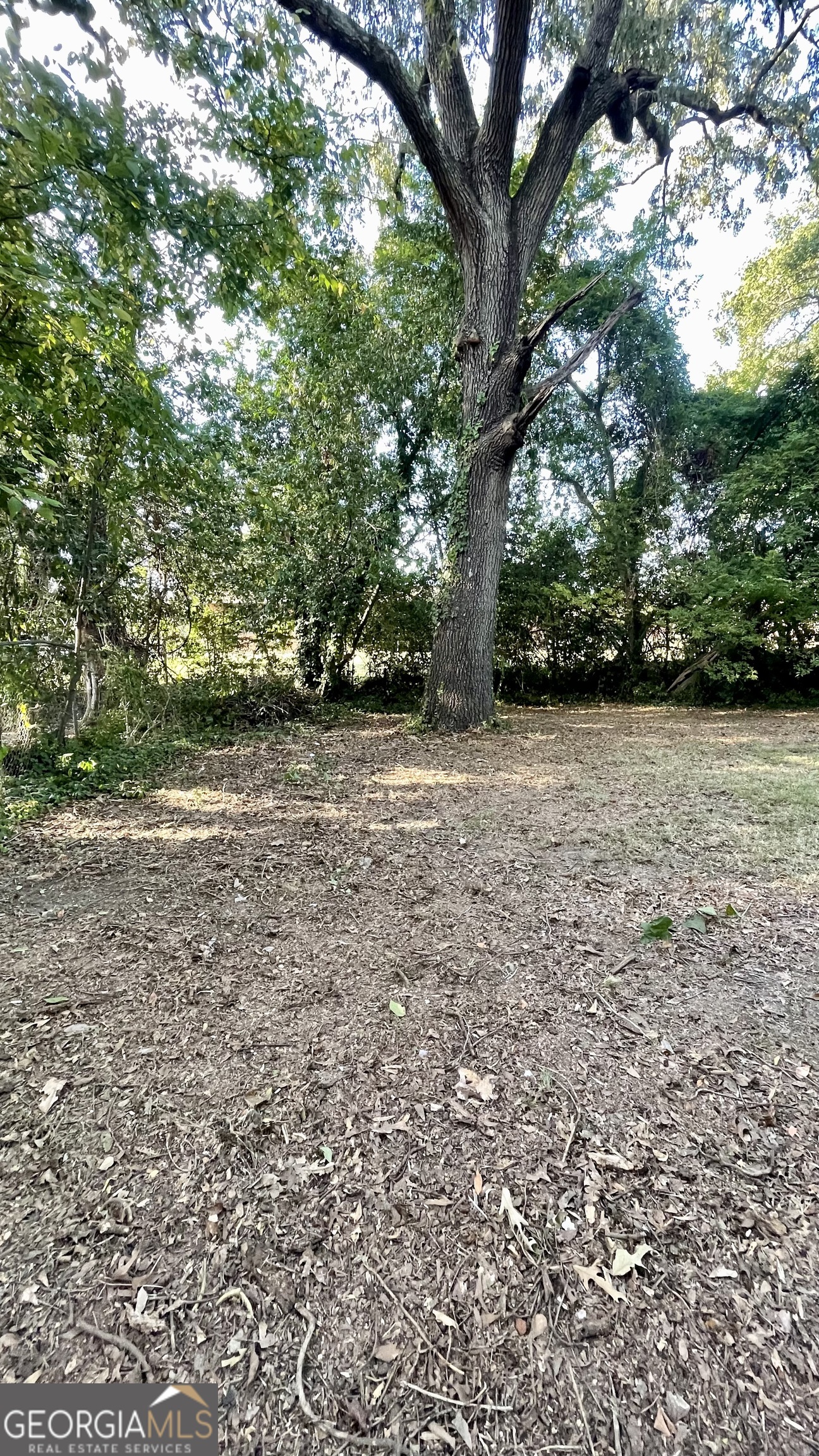 611 West Moore Street Dublin, GA 31021 - Photo 4 of 15 a view of a yard with a tree
