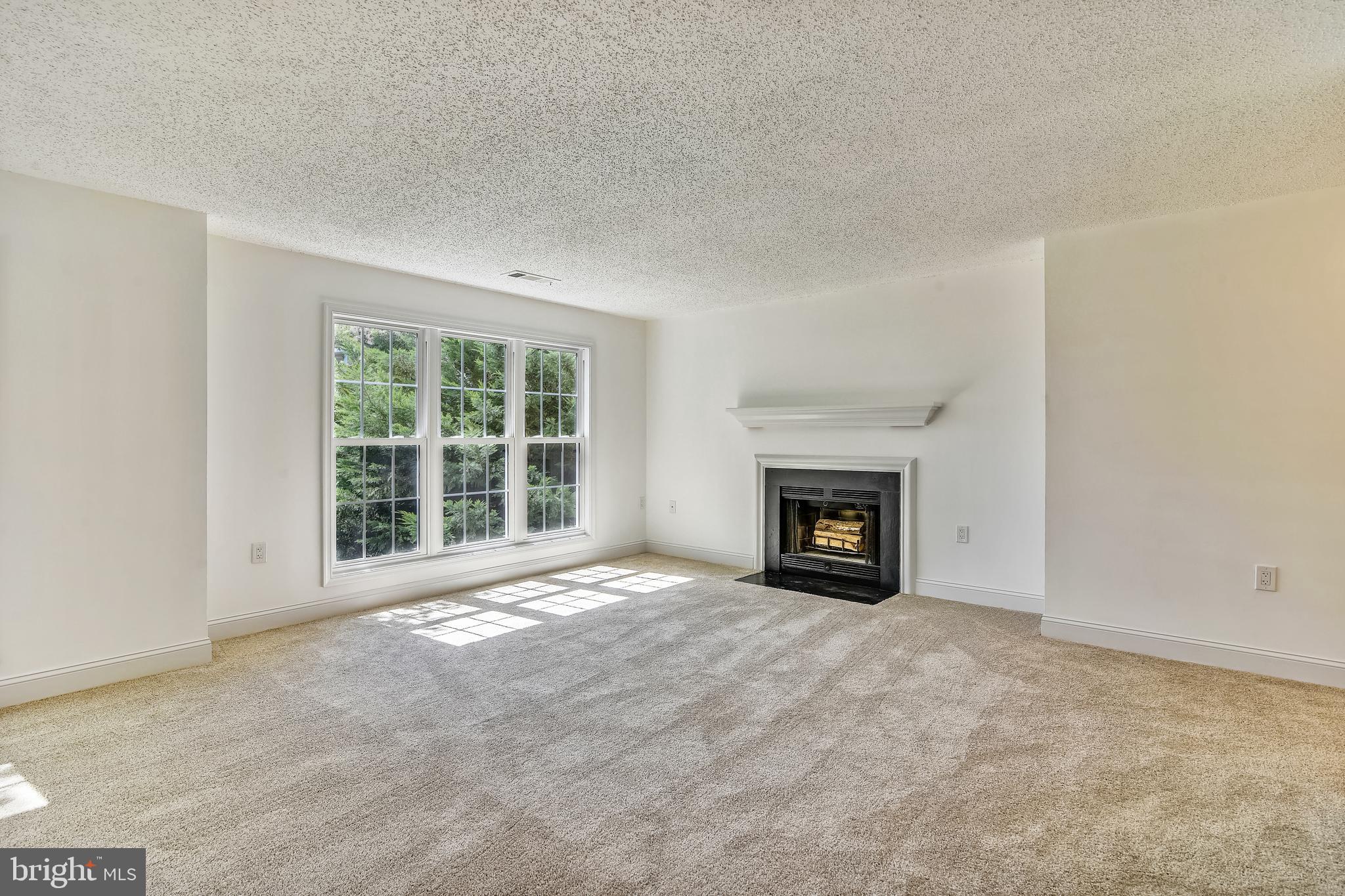 20991 Timber Ridge Terrace, Unit 204 Ashburn, VA 20147 - Photo 36 of 52 Living Room WIth Fireplace and Mantel