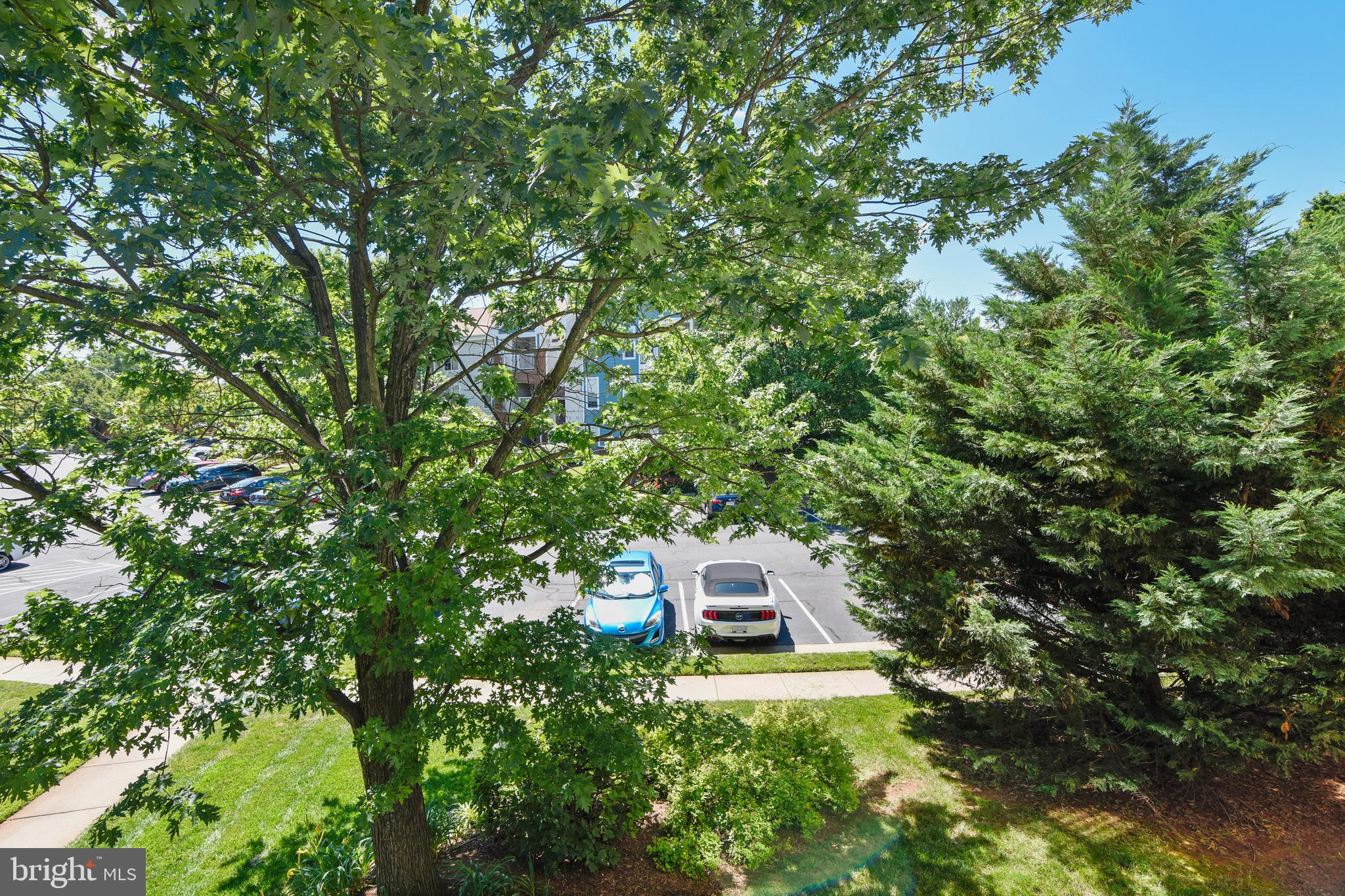 20991 Timber Ridge Terrace, Unit 204 Ashburn, VA 20147 - Photo 46 of 52 View From Unit