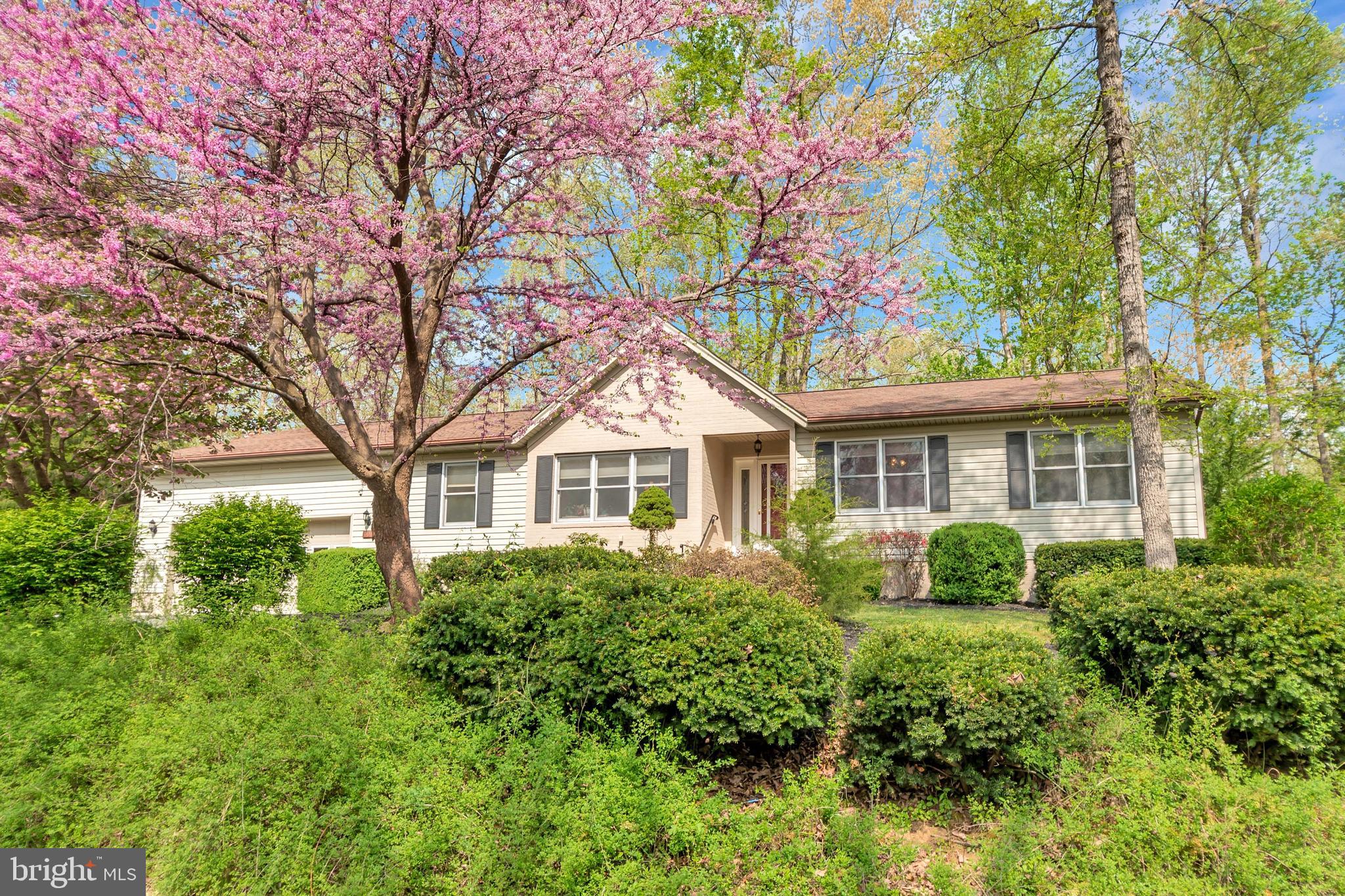 607 Gold Valley Road Locust Grove, VA 22508 - Photo 1 of 52 Lovely Trees/ Bushes in Front Yard