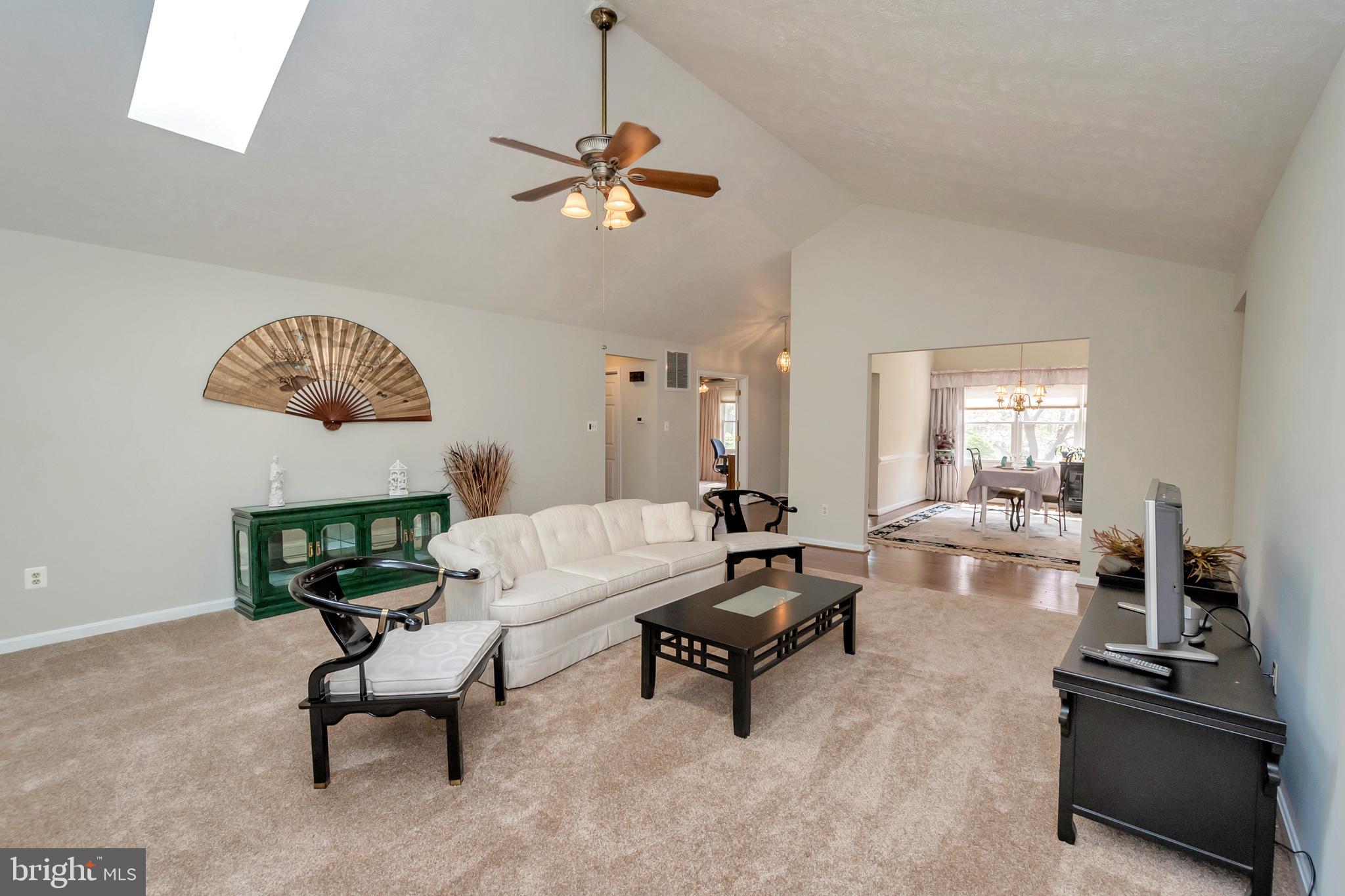 607 Gold Valley Road Locust Grove, VA 22508 - Photo 14 of 52 Spacious Living Room with Skylights