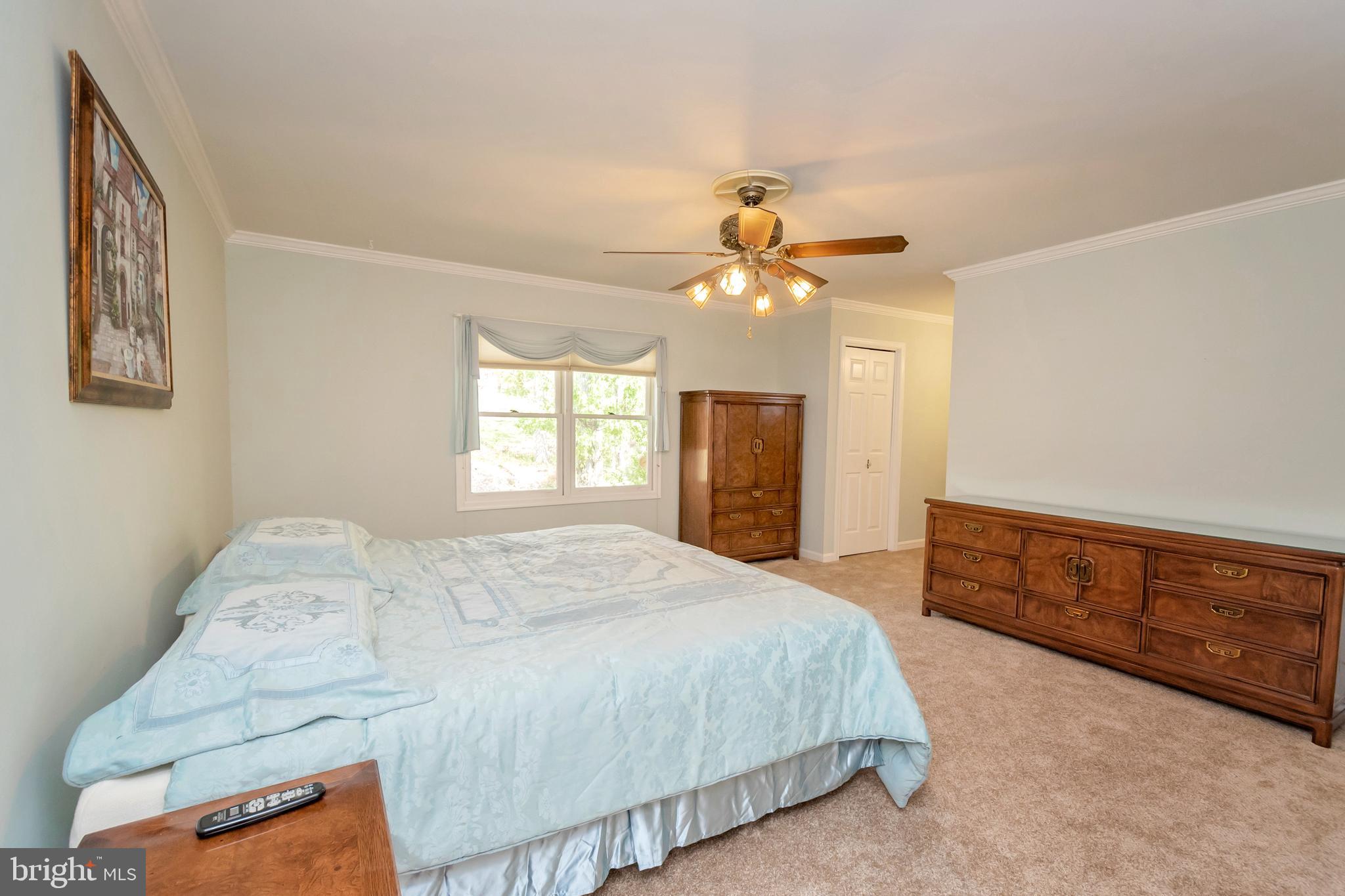 607 Gold Valley Road Locust Grove, VA 22508 - Photo 18 of 52 Master Bedroom with 3 Closets