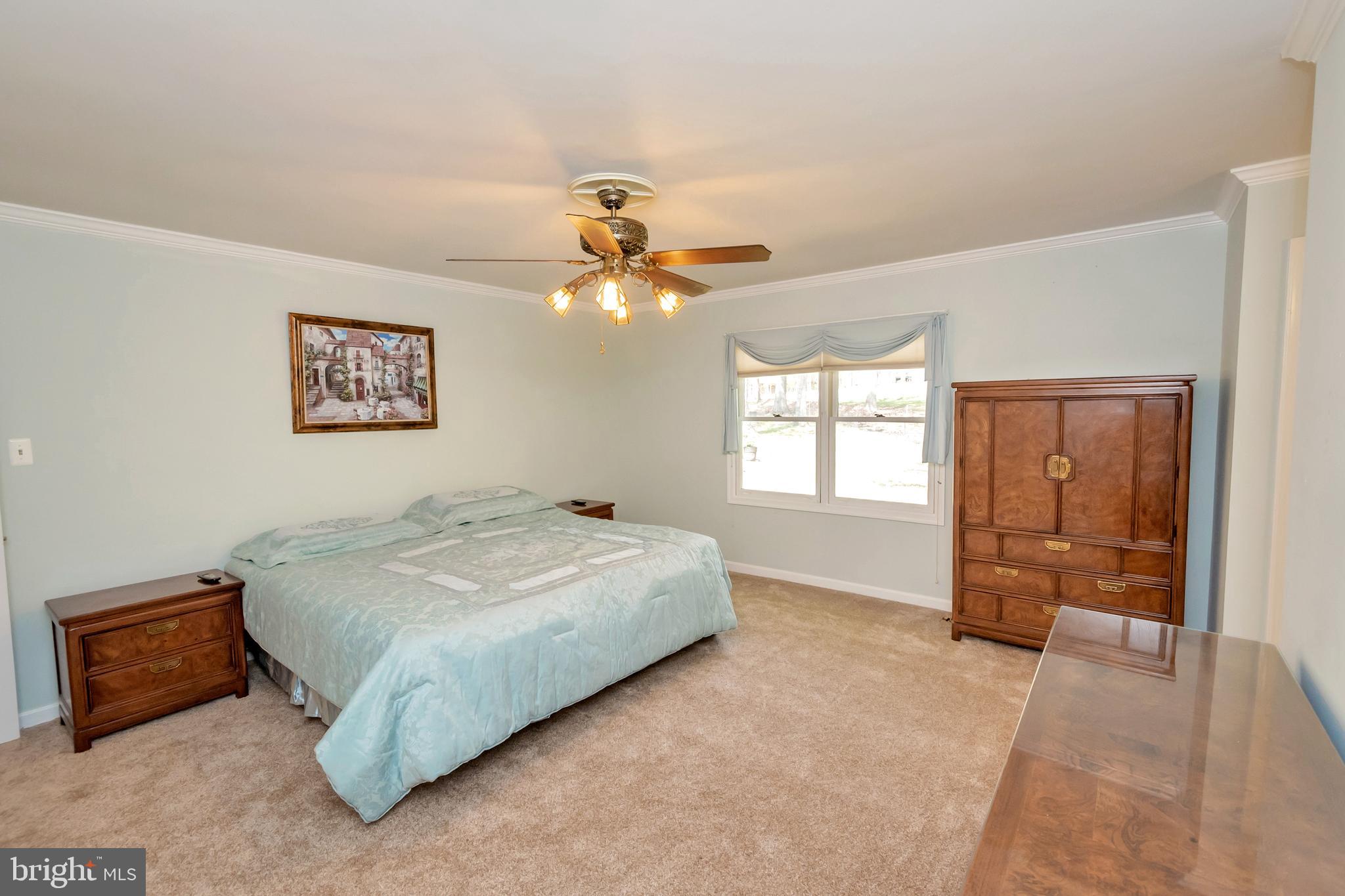 607 Gold Valley Road Locust Grove, VA 22508 - Photo 19 of 52 Master Bedroom