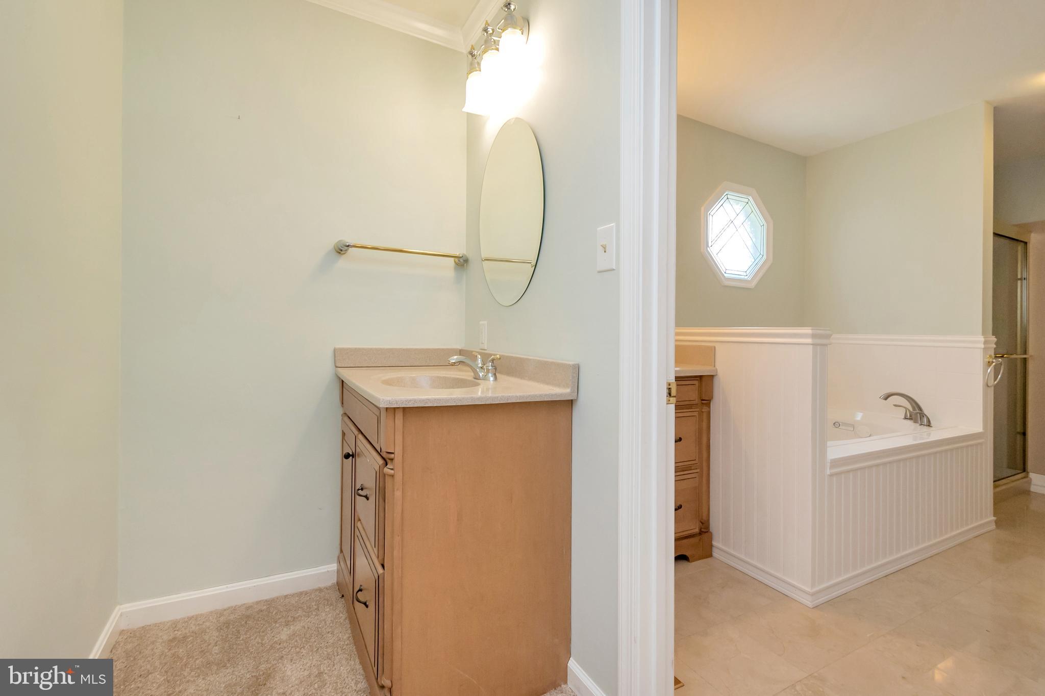 607 Gold Valley Road Locust Grove, VA 22508 - Photo 20 of 52 Master Bath with Jetted Tub