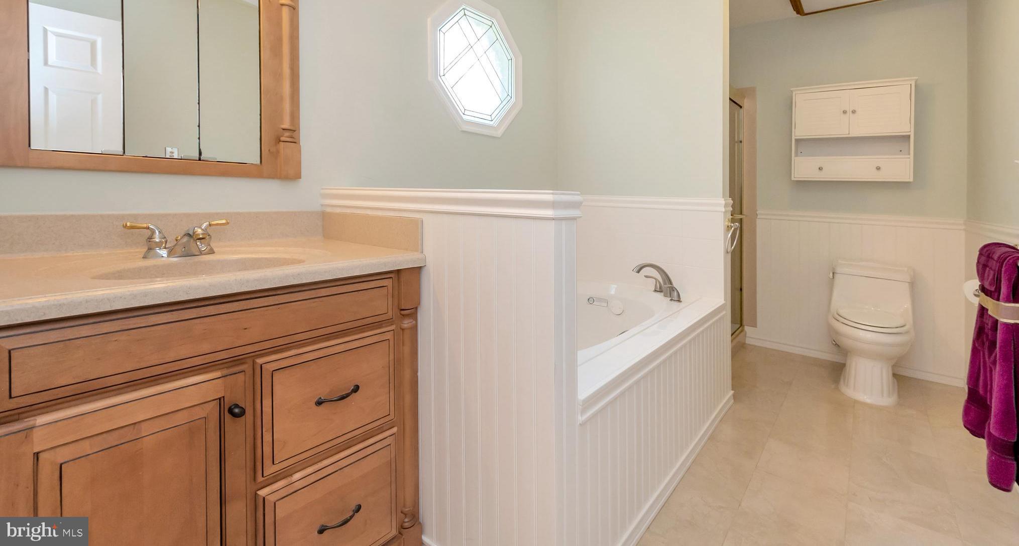 607 Gold Valley Road Locust Grove, VA 22508 - Photo 21 of 52 Master Bath with Dual Vanities