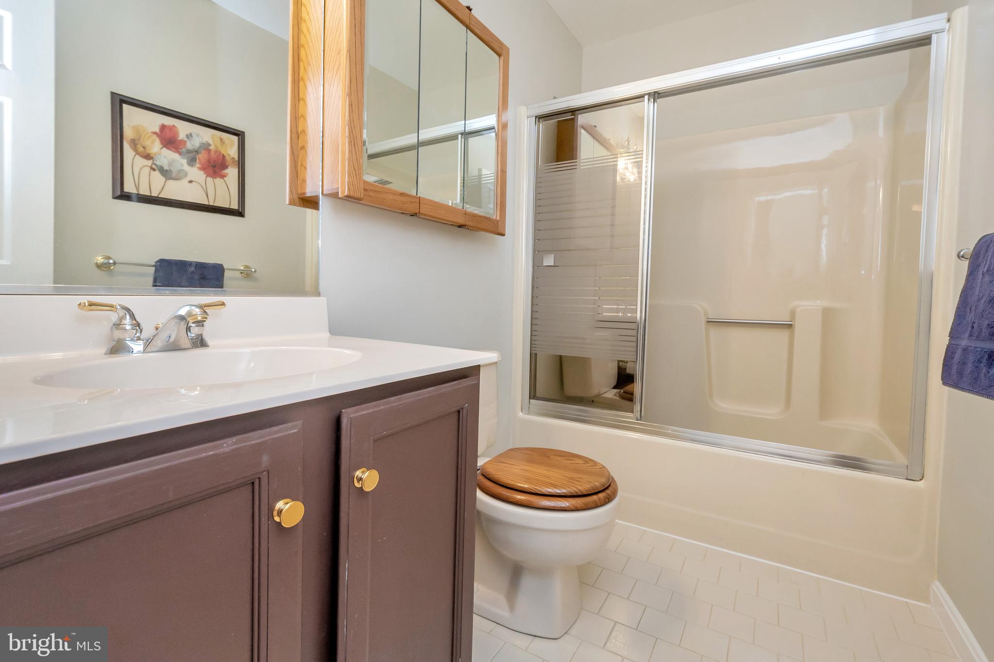 607 Gold Valley Road Locust Grove, VA 22508 - Photo 25 of 52 Hall Bath