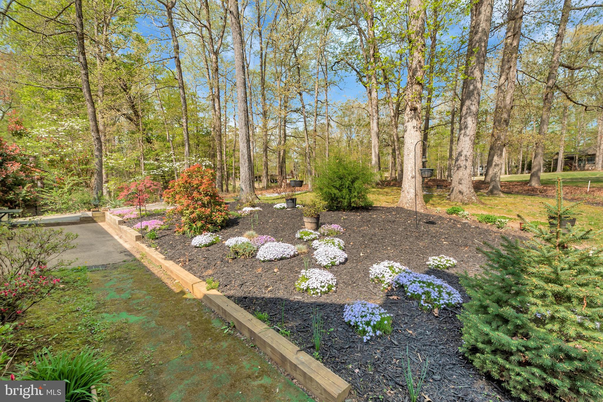 607 Gold Valley Road Locust Grove, VA 22508 - Photo 36 of 52 Lovely Landscaped Backyard