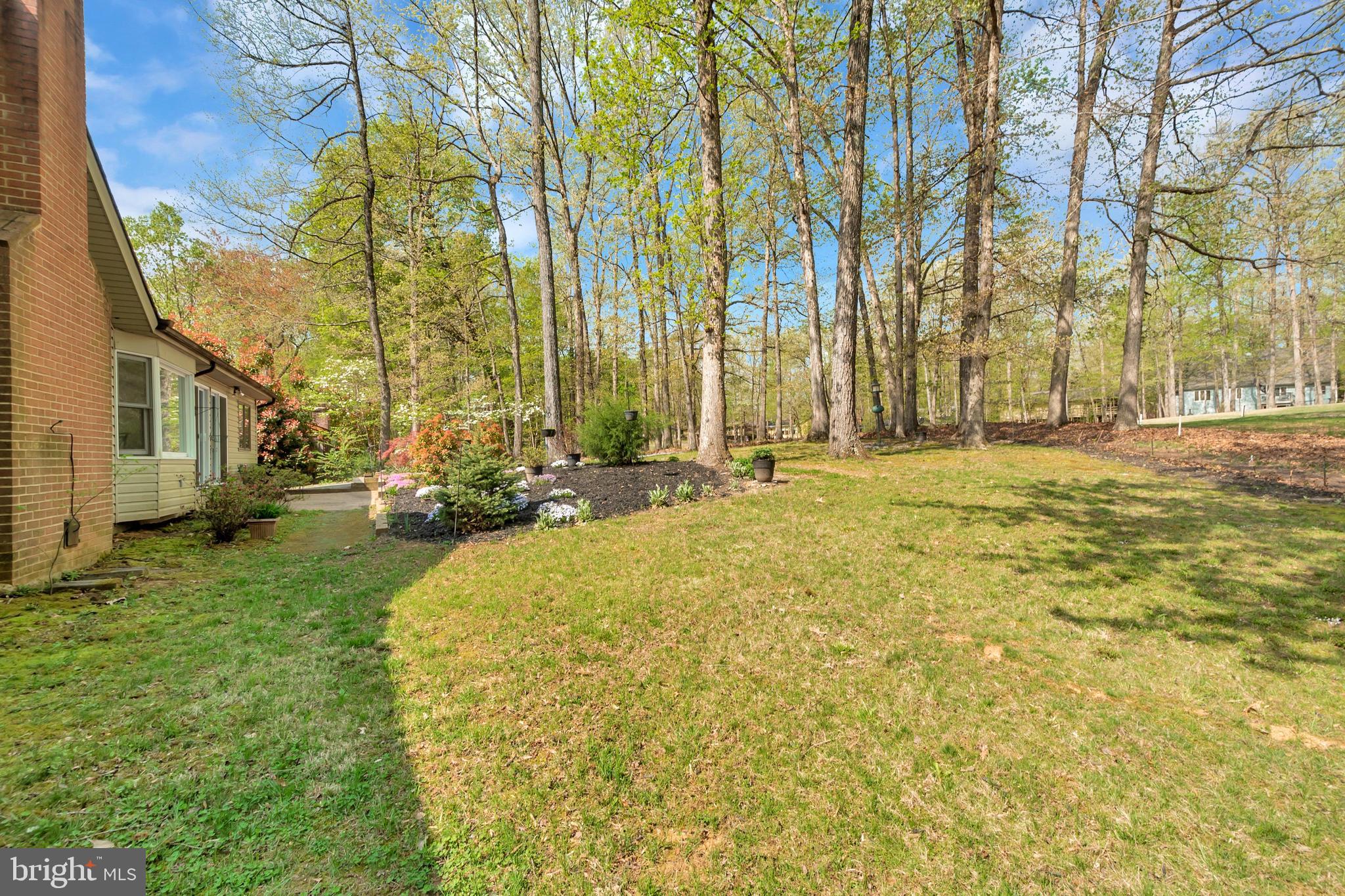 607 Gold Valley Road Locust Grove, VA 22508 - Photo 40 of 52 Back Yard