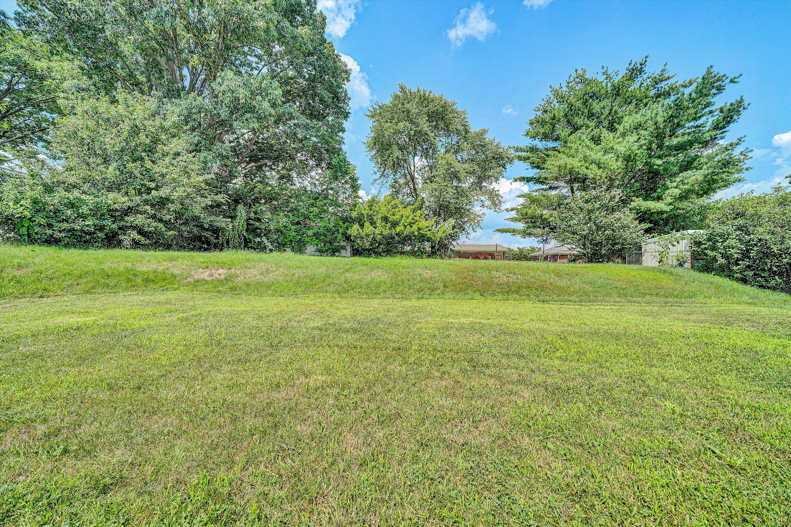 6539 Wendover Road Roanoke, VA 24019 - Photo 30 of 33 Back Yard