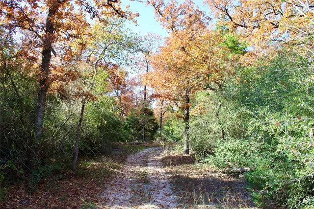 $969,999 | 1245 Private Road 3063, Thrall, TX 76578