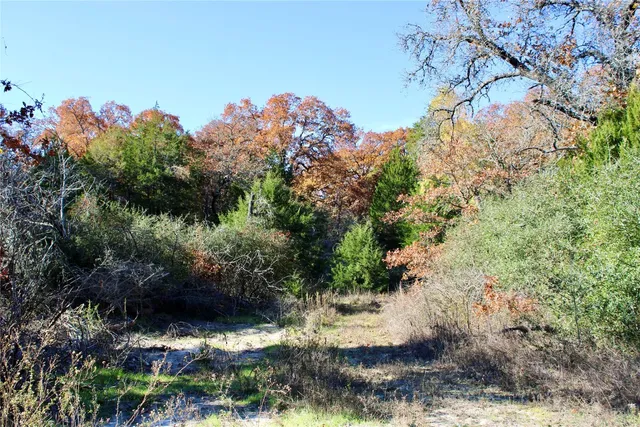 $969,999 | 1245 Private Road 3063, Thrall, TX 76578