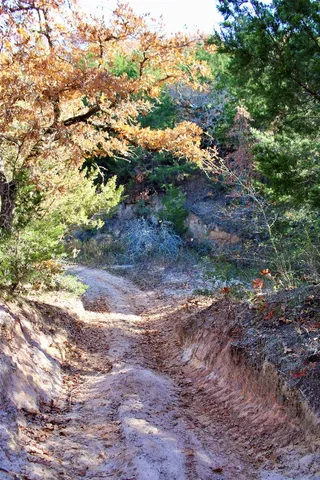 $969,999 | 1245 Private Road 3063, Thrall, TX 76578