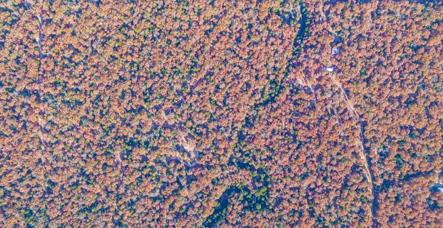 $969,999 | 1245 Private Road 3063, Thrall, TX 76578