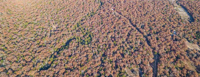 $969,999 | 1245 Private Road 3063, Thrall, TX 76578