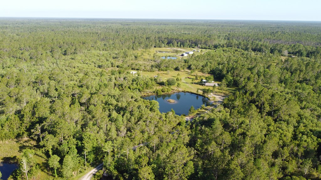 380 Clark's Landing Road Carrabelle, FL 32322 - Photo 6 of 12 Gallery Image 6