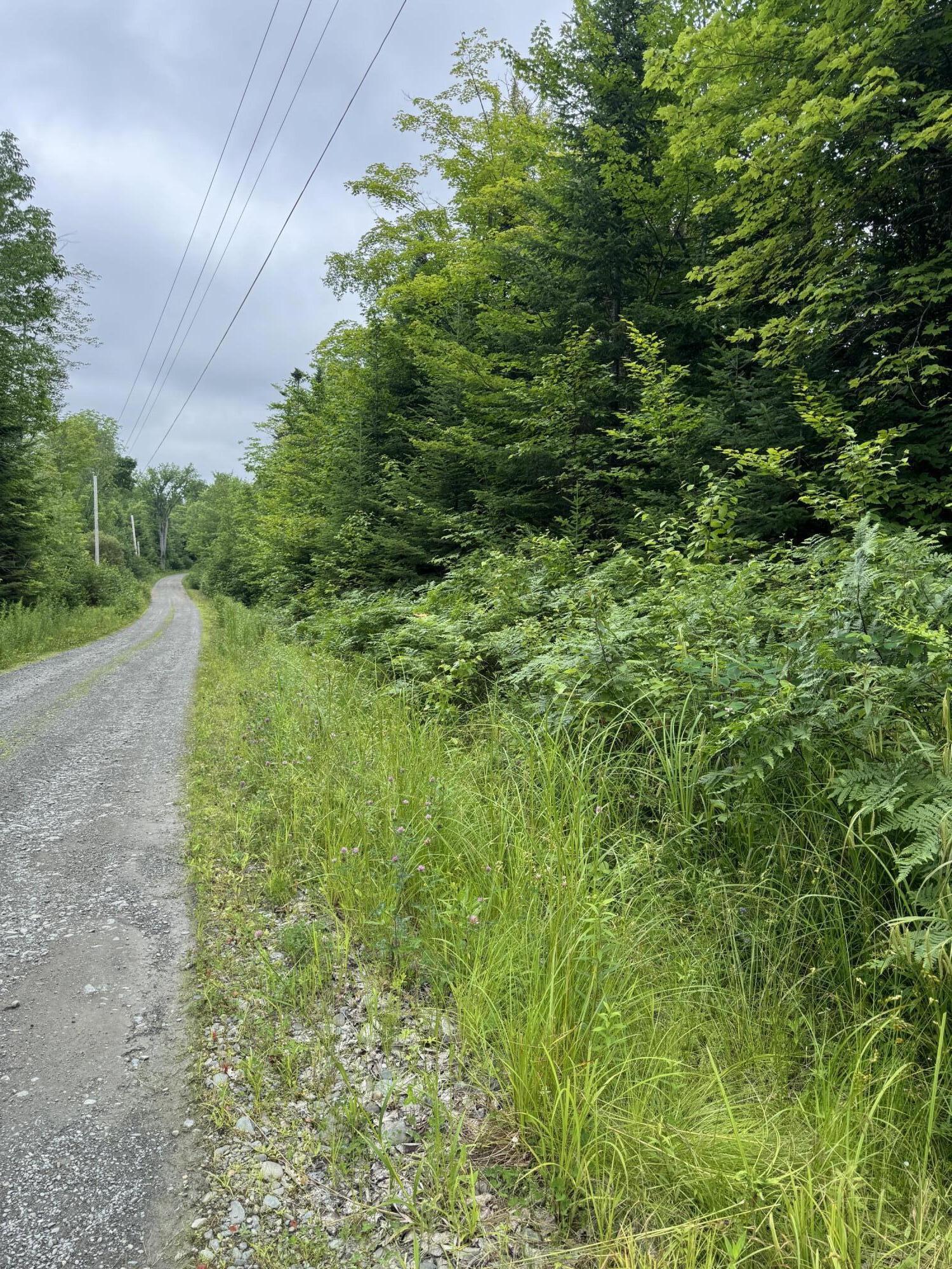 Tbd Trafton Road Parkman, ME 04443 - Photo 10 of 17