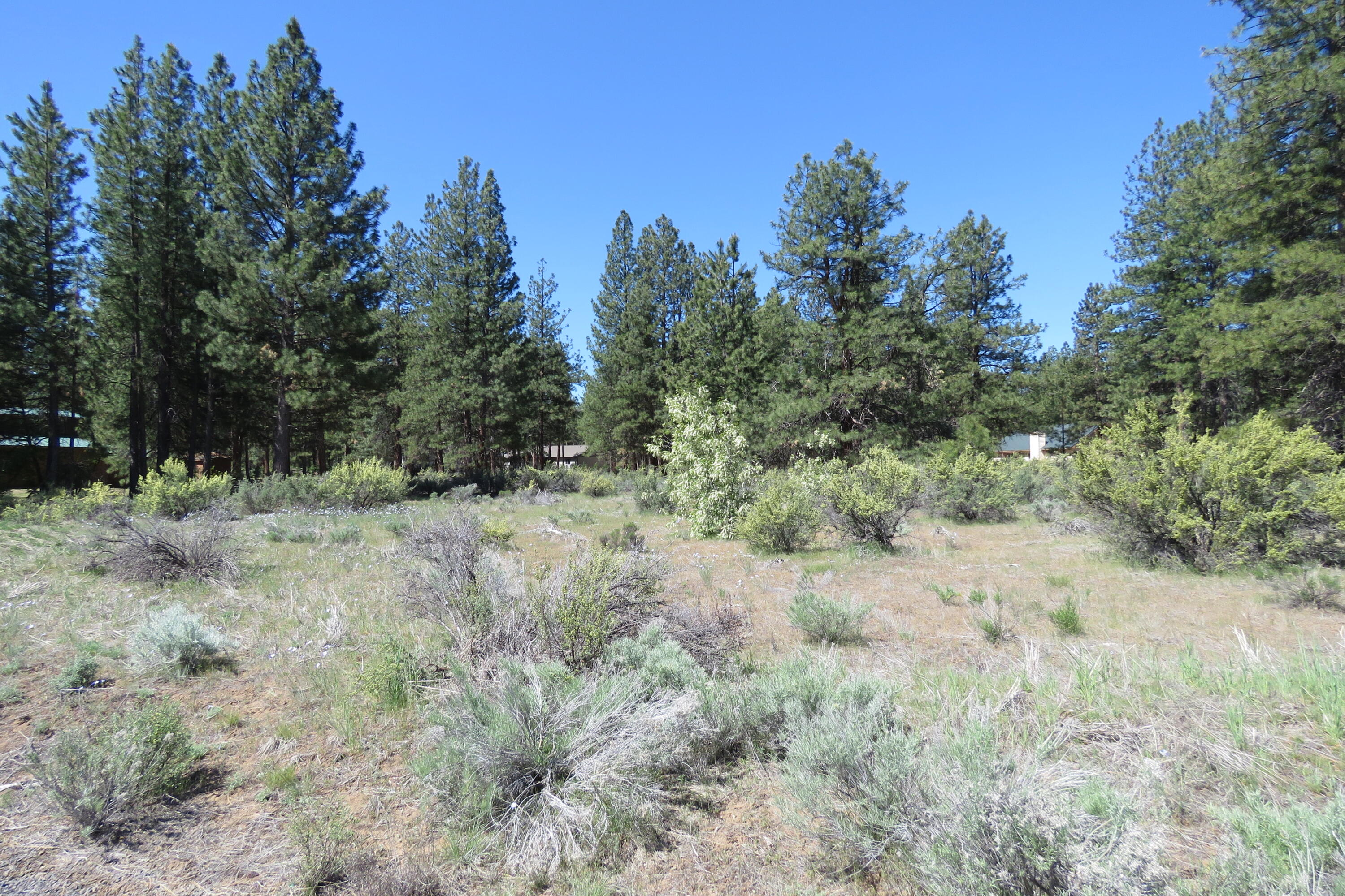 Castle Drive Chiloquin, OR 97624 - Photo 12 of 12 IMG_4571