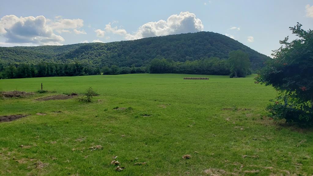 3332 Union Furnace Road Tyrone, PA 16686 - Photo 19 of 46 Gallery Image 19