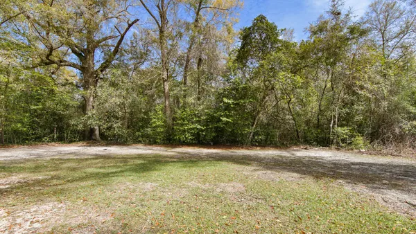 a view of a yard with a tree