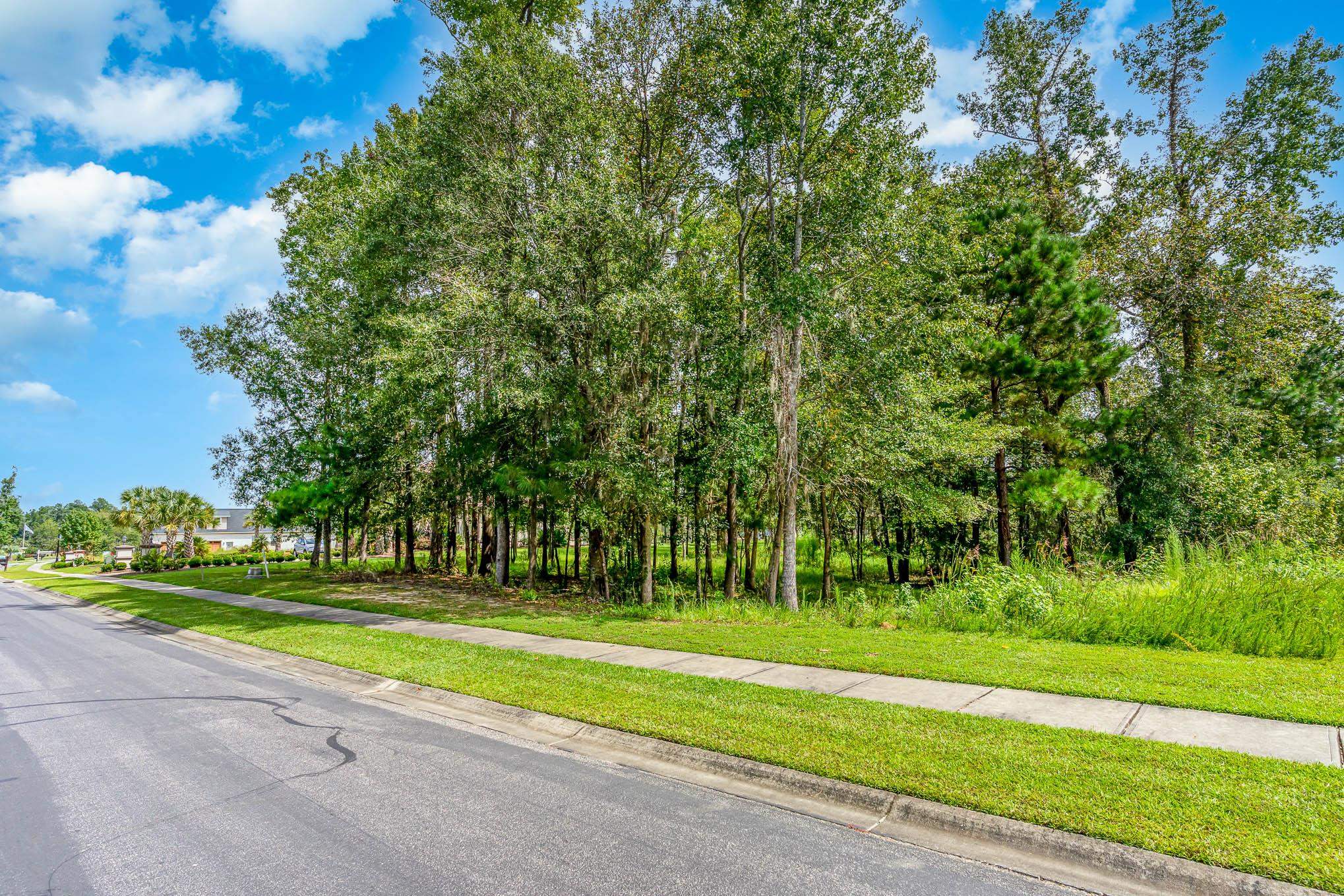 Lot 86 Chamberlin Road Myrtle Beach, SC 29588 - Photo 4 of 35 Gallery Image 4