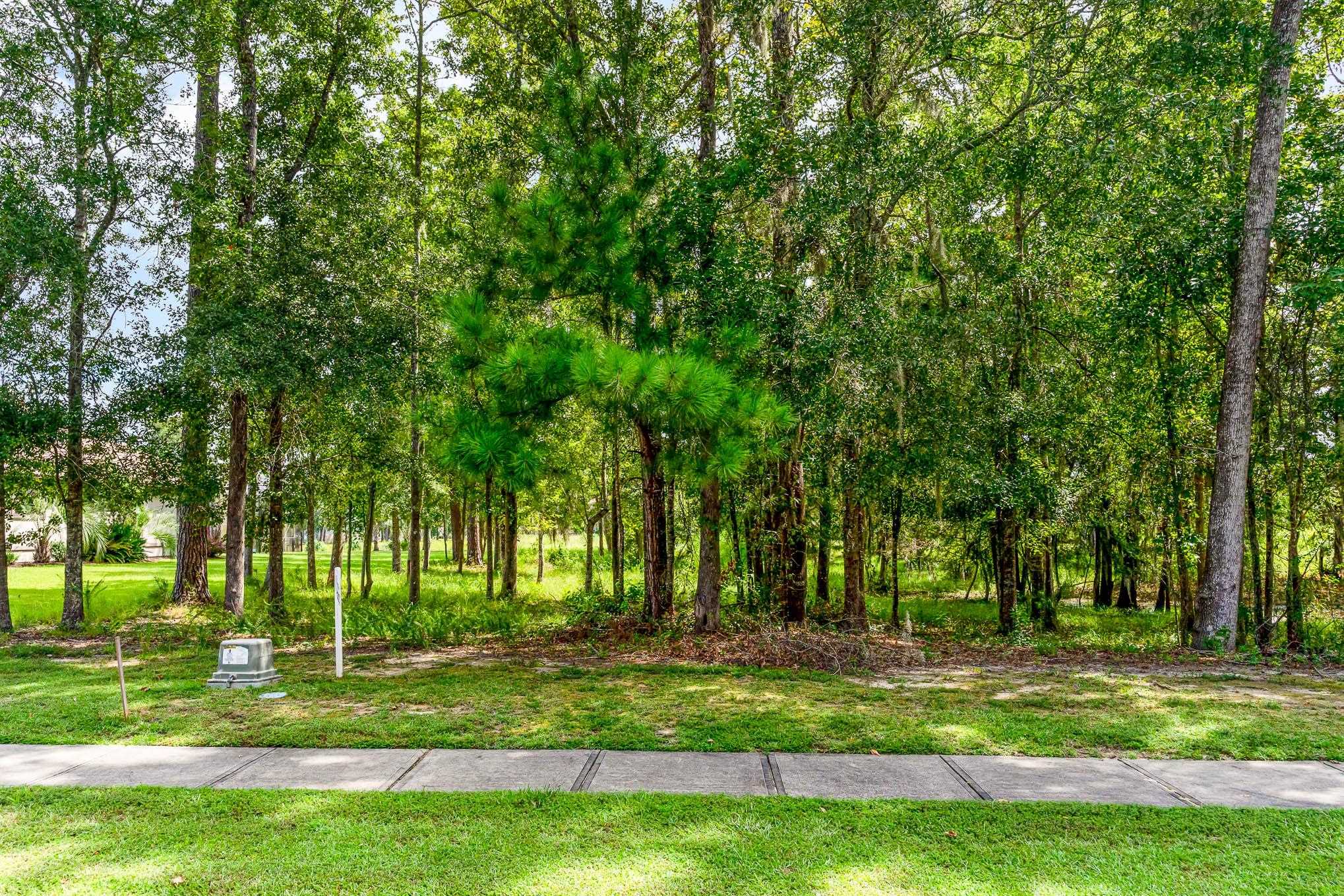 Lot 86 Chamberlin Road Myrtle Beach, SC 29588 - Photo 5 of 35 Gallery Image 5