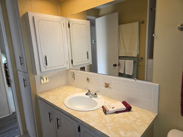 a bathroom with a sink and a mirror