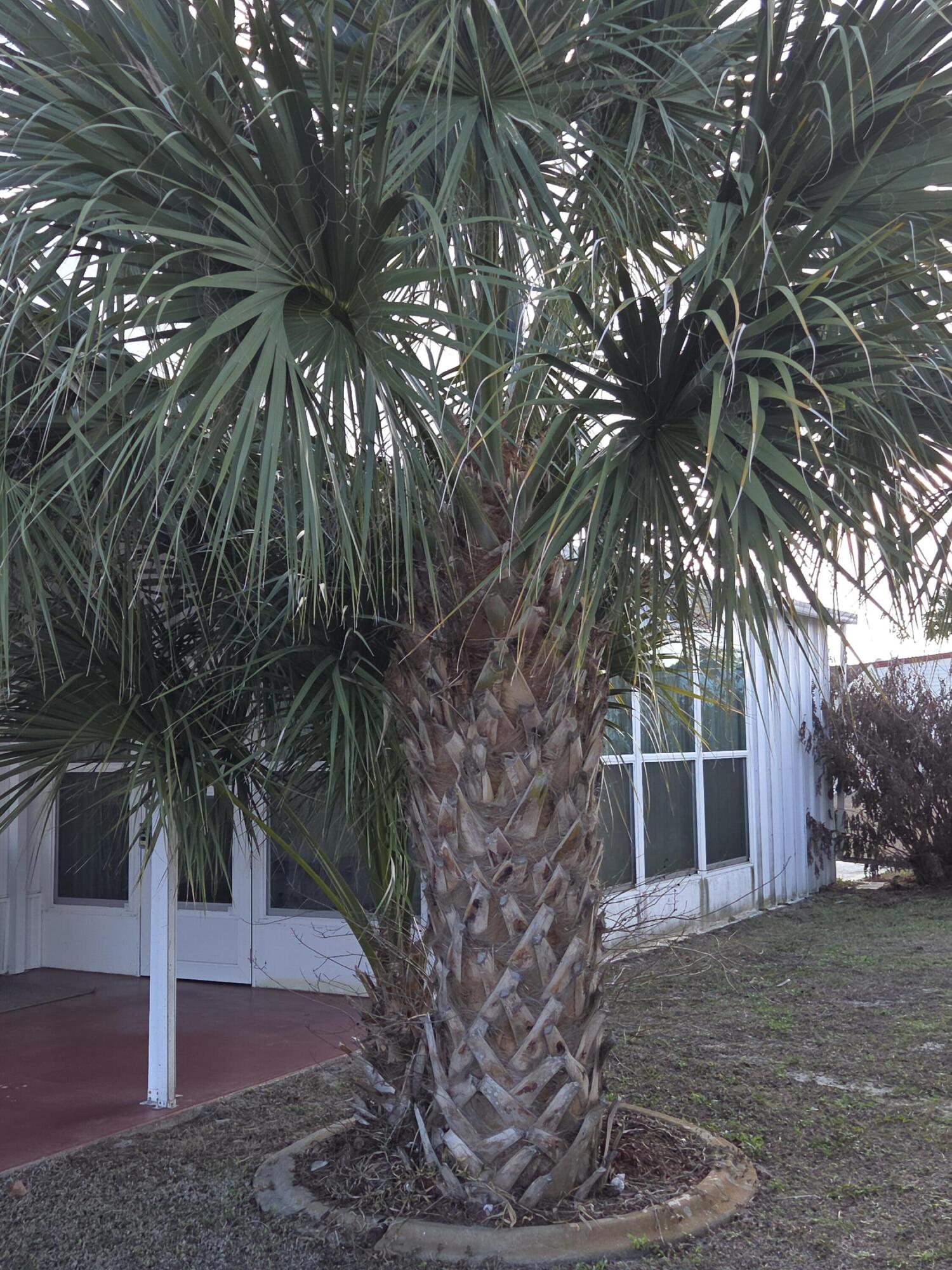2915 Roger Street Sebring, FL 33872 - Photo 27 of 35 right side of fl room
