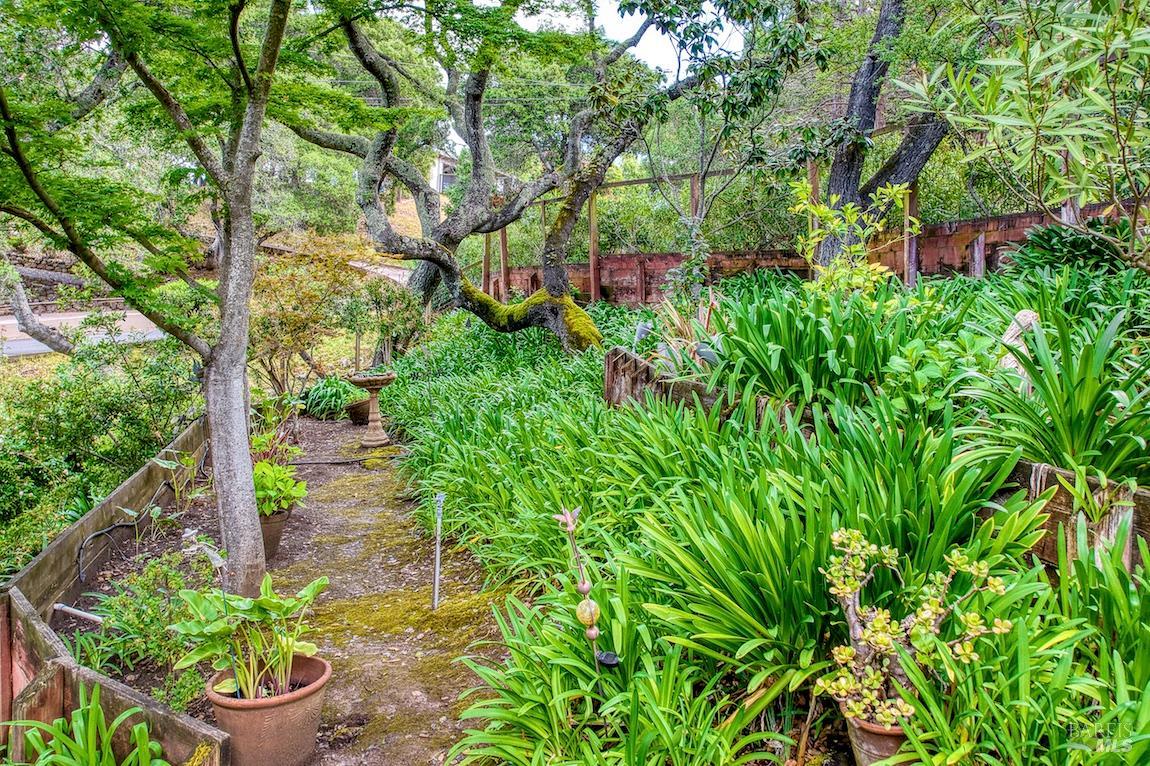 21 Forrest Road Novato, CA 94947 - Photo 48 of 82