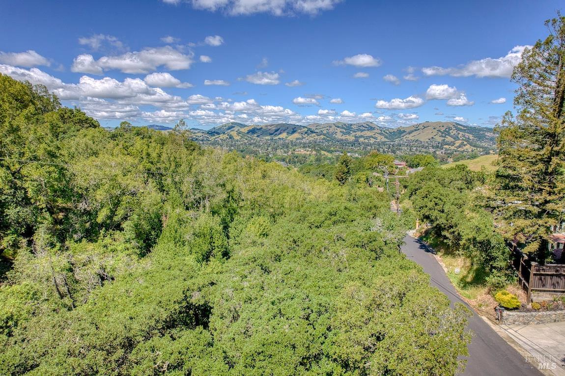 21 Forrest Road Novato, CA 94947 - Photo 53 of 82