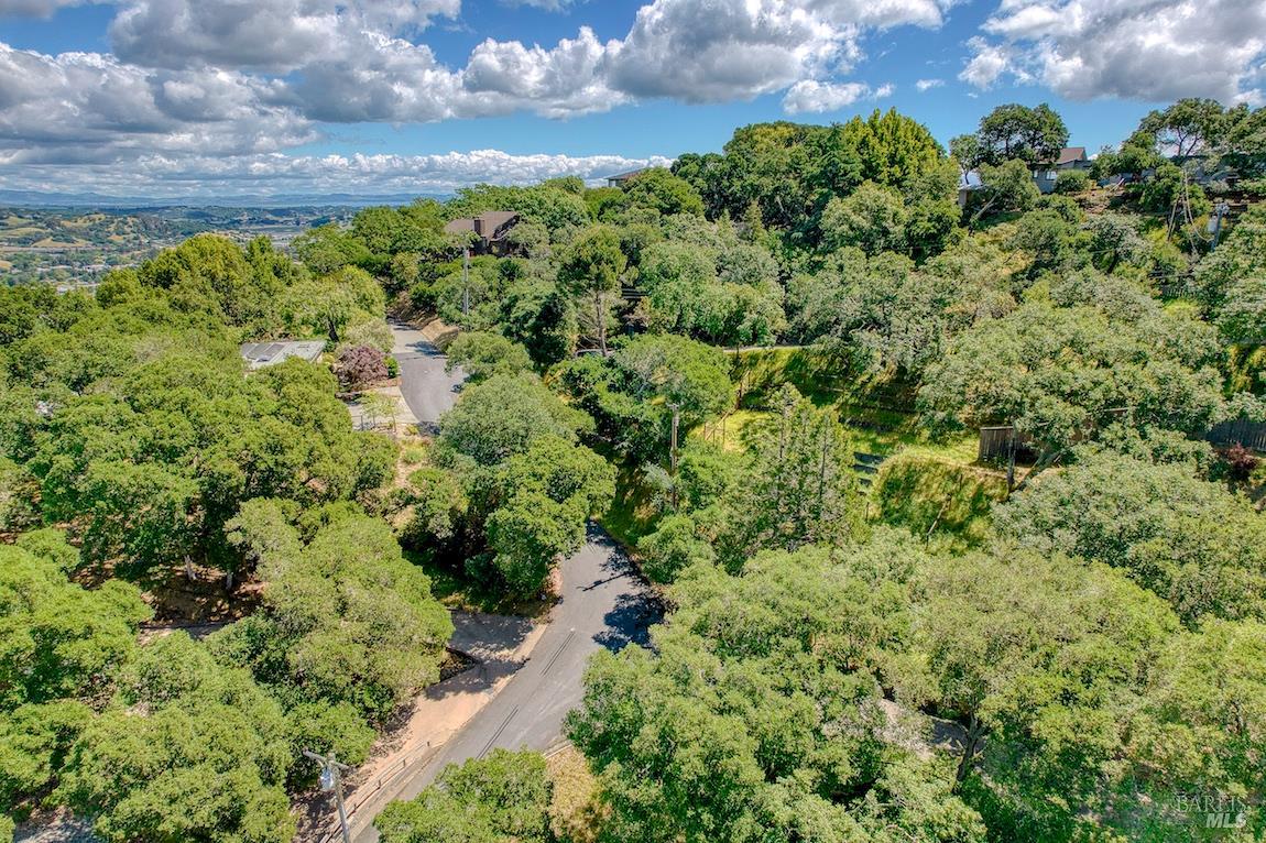 21 Forrest Road Novato, CA 94947 - Photo 55 of 82