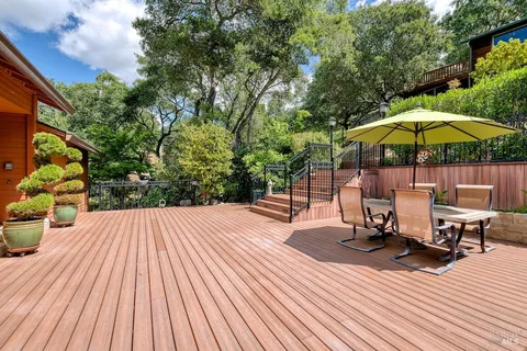 a view of a backyard with plants