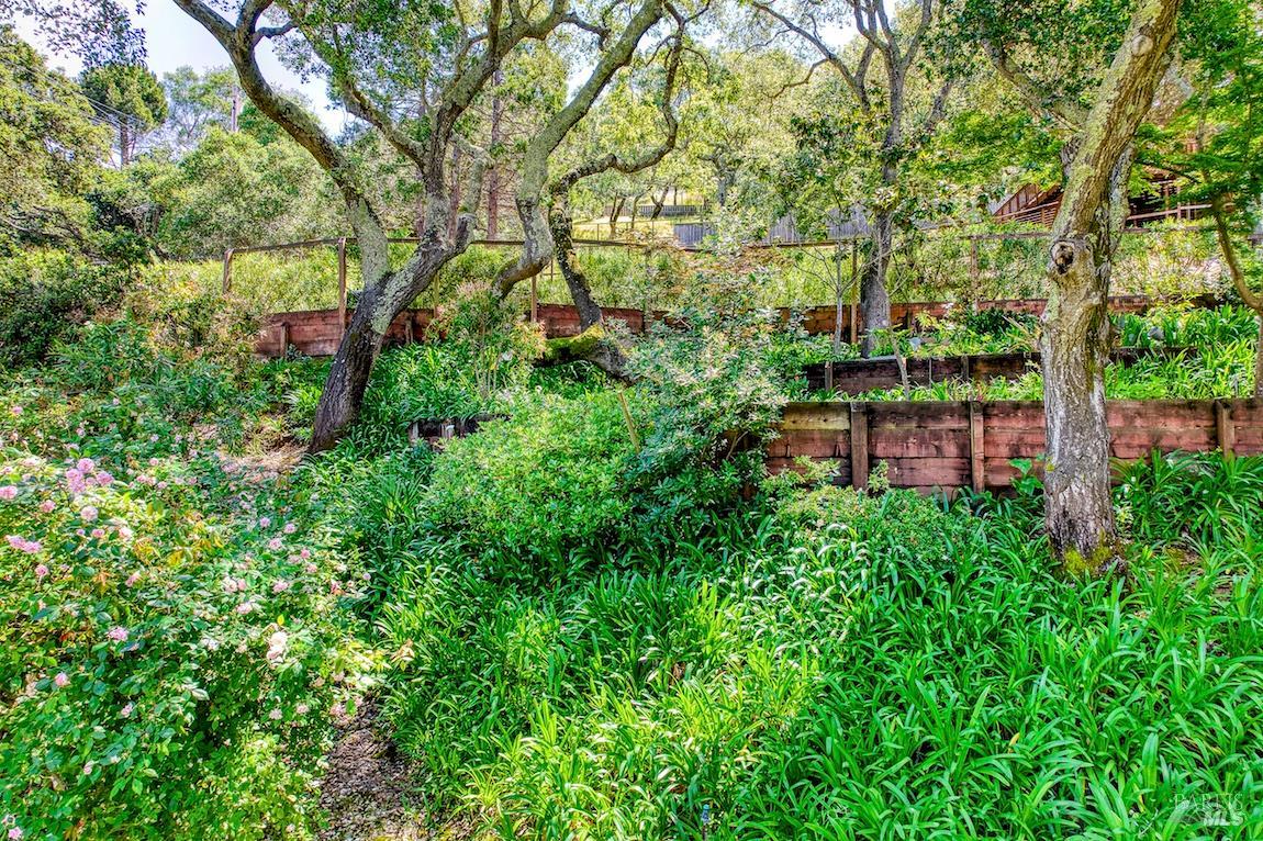 21 Forrest Road Novato, CA 94947 - Photo 67 of 82