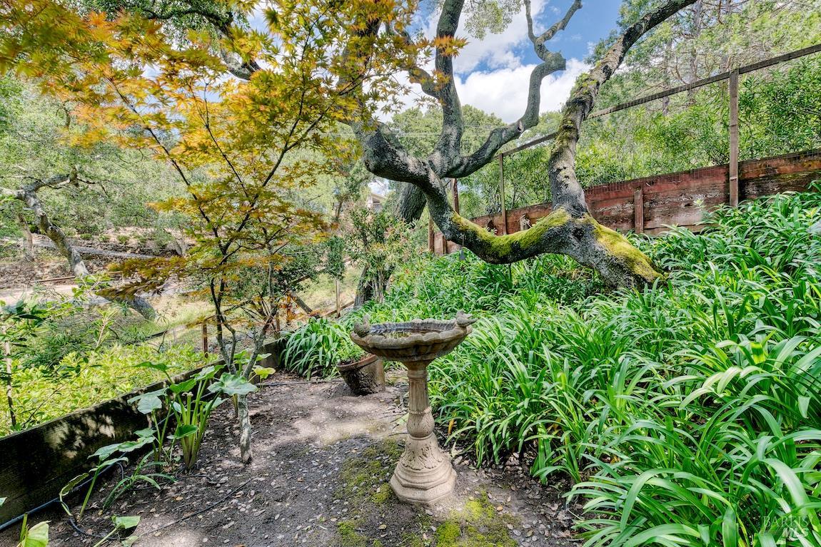 21 Forrest Road Novato, CA 94947 - Photo 70 of 82