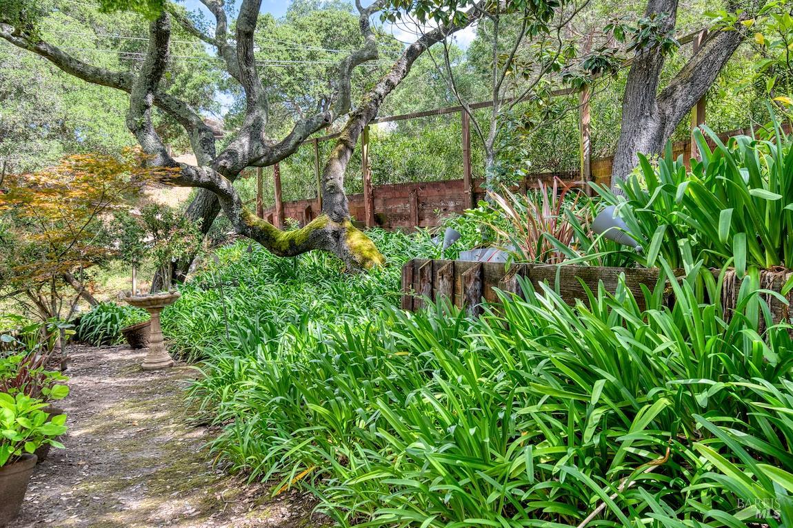 21 Forrest Road Novato, CA 94947 - Photo 71 of 82
