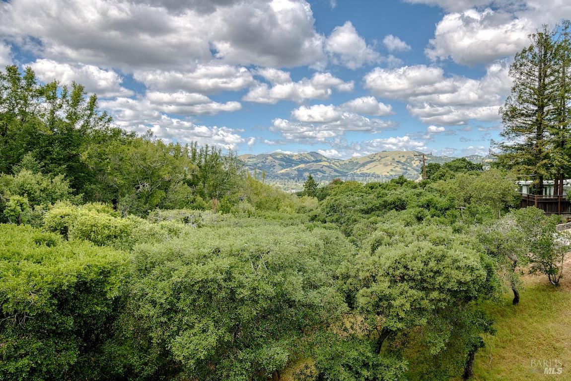 21 Forrest Road Novato, CA 94947 - Photo 79 of 82