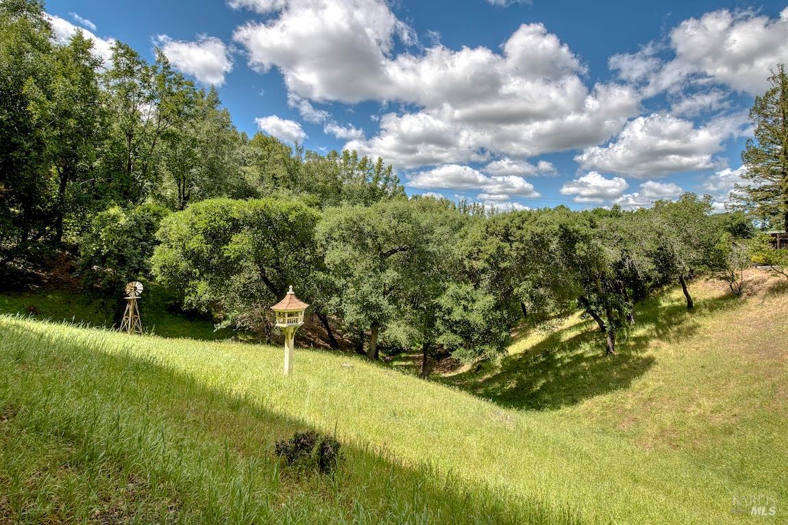 21 Forrest Road Novato, CA 94947 - Photo 80 of 82