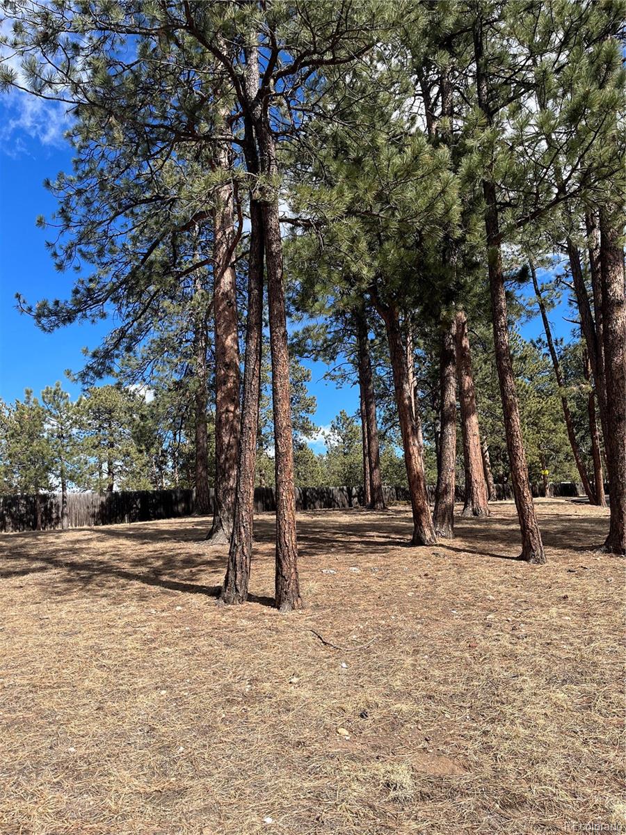 0 Pawnee Road Indian Hills, CO 80454 - Photo 2 of 8 a backyard of a house with lots of green space