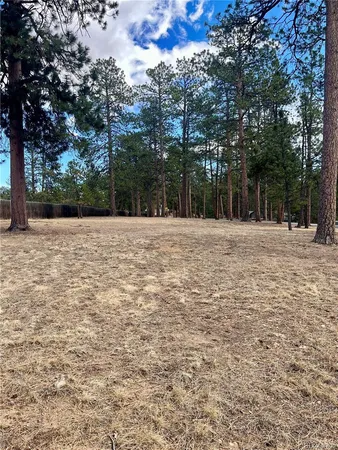 a tall white house with trees in front of it