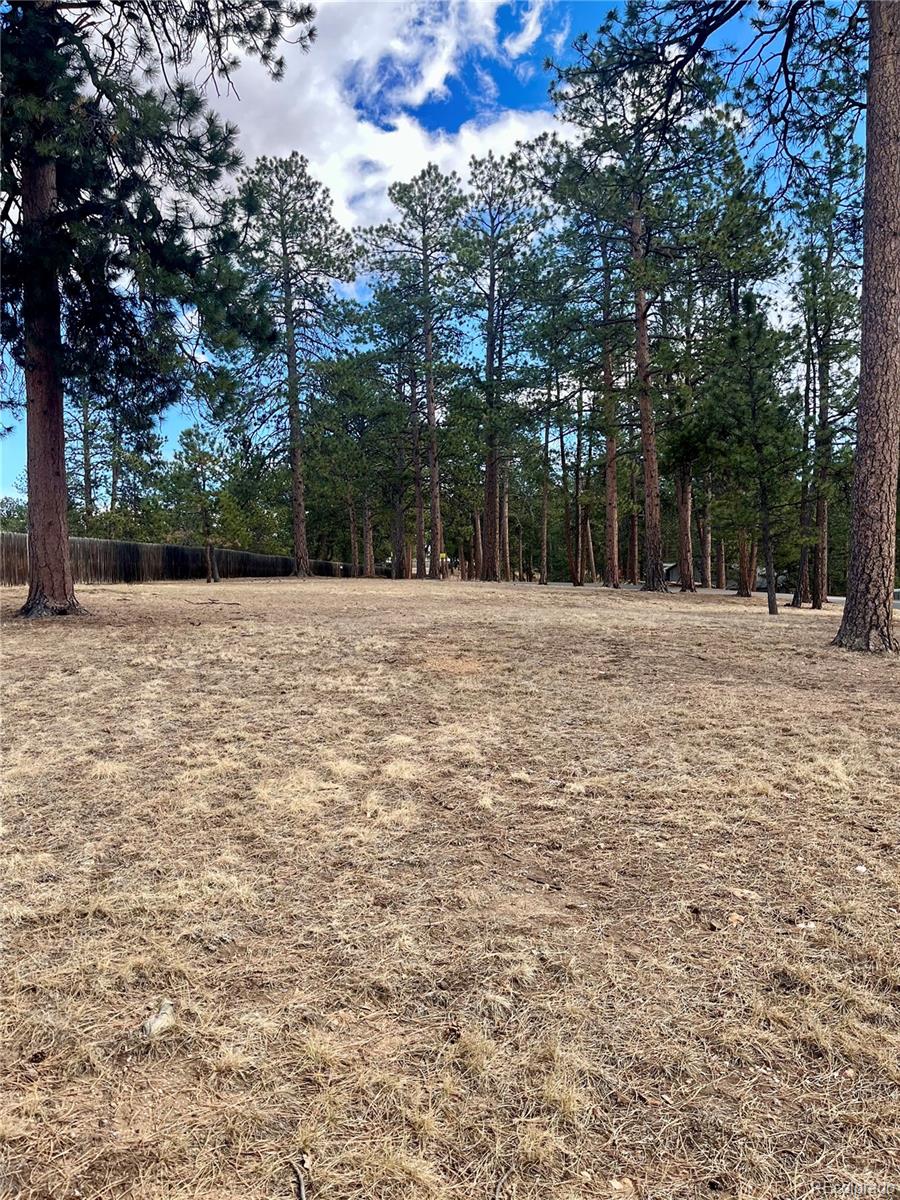 0 Pawnee Road Indian Hills, CO 80454 - Photo 4 of 8 a tall white house with trees in front of it