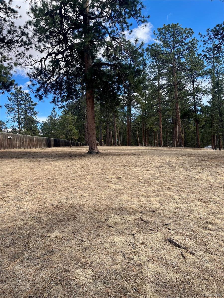 0 Pawnee Road Indian Hills, CO 80454 - Photo 5 of 8 a view of basketball court