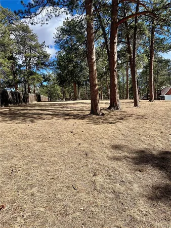a view of a yard with large trees