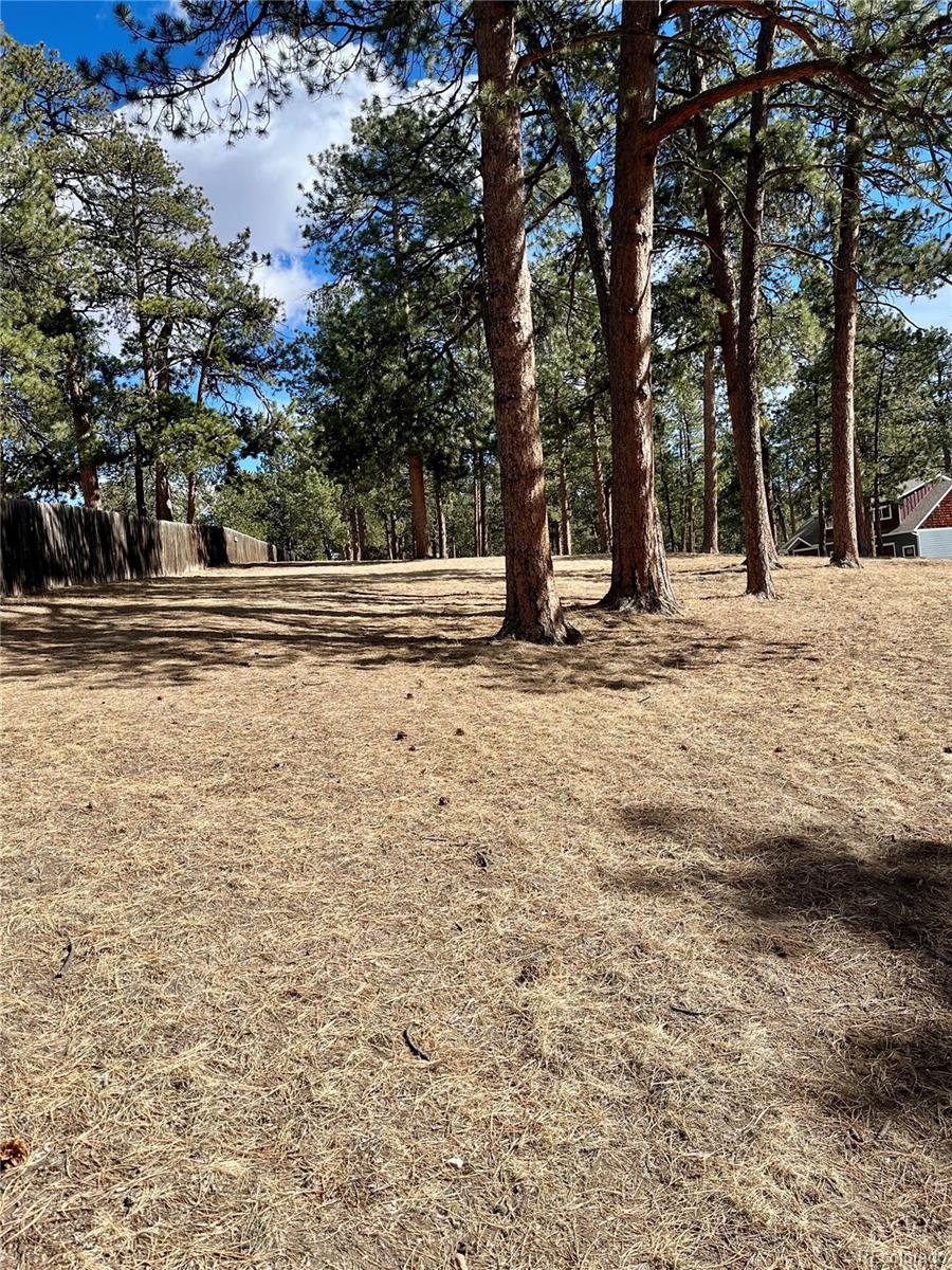 0 Pawnee Road Indian Hills, CO 80454 - Photo 6 of 8 a view of a yard with large trees