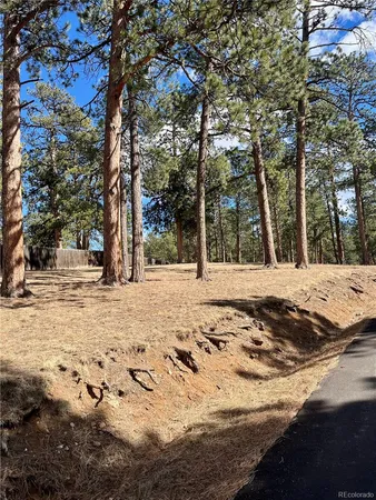 a view of a snow on the side of the road