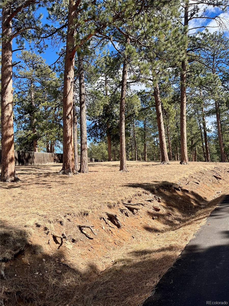 0 Pawnee Road Indian Hills, CO 80454 - Photo 7 of 8 a view of a snow on the side of the road